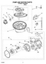 Circulation Motor & Pump Assembly