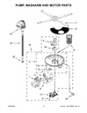 Circulation Motor & Pump Assembly
