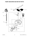 Circulation Pump & Motor Assembly