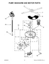 Pump & Motor