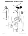 Circulation Pump & Motor Assembly