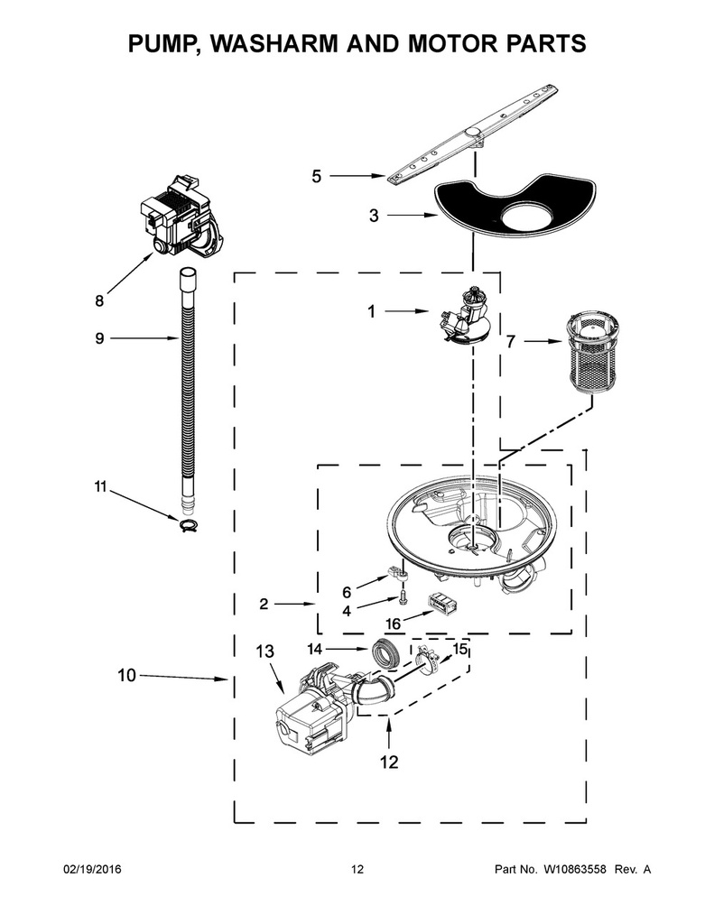 Circulation Motor and Pump