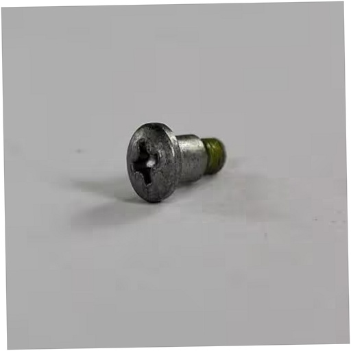 GE Washer Lid Hinge Screw - WH02X24105