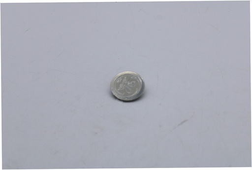 GE Dishwasher Nameplate (Chrome) - WR04X29375, Replaces: WR02X45685