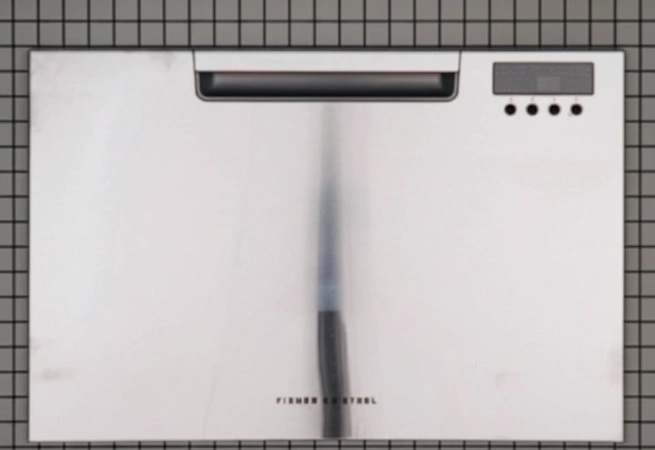 Fisher & Paykel Dishwasher Door Assembly - 513233